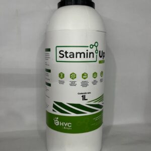 STAMIND UP BIOESTIMULANTE 1 LT