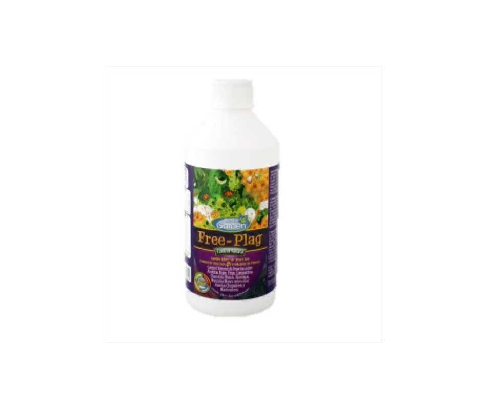 FREE PLAG BEST GARDEN - Imagen 2