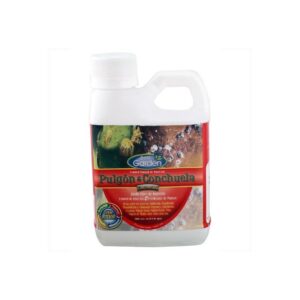 PULGONES Y CONCHUELAS BEST GARDEN 150CC