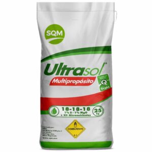 ULTRASOL MULTIPROPOSITO 1KG