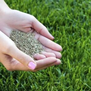 MEZCLA PRADO ESTADIO 1KG