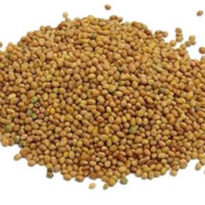 SEMILLA TREBOL BLANCO ENANO HUIA