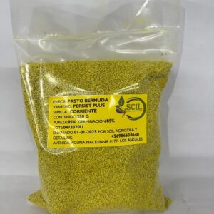 SEMILLA PASTO BERMUDA ENANA PERSIST PLUS 250GR