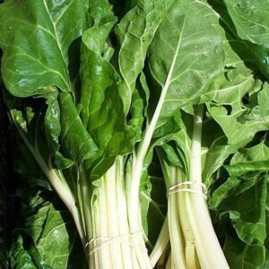 SEMILLA ACELGA PENCA ANCHA BLANCA MUSIC