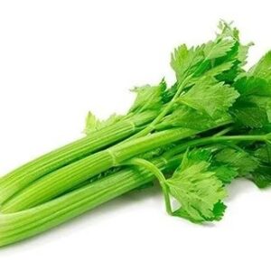 SEMILLA APIO PASCAL GIGANTE