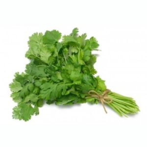SEMILLA CILANTRO REY 1KG
