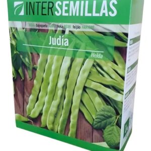 SEMILLA POROTO JUDIA HELDA DE GUIA