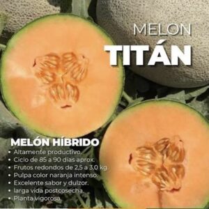 SEMILLA MELON HIBRIDO TITAN PLANTEC