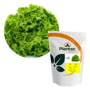 SEMILLA LECHUGA PELETIZADA GREEN TURK (ANTIGUA ROCIO IMPROVED)