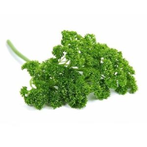 SEMILLA PEREJIL CRESPO 250grs Music