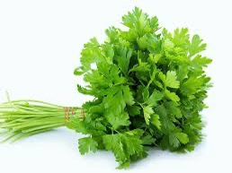 SEMILLA PEREJIL LISO